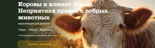 2023-10-06-130702.jpg 2023-10-06-130702.jpg