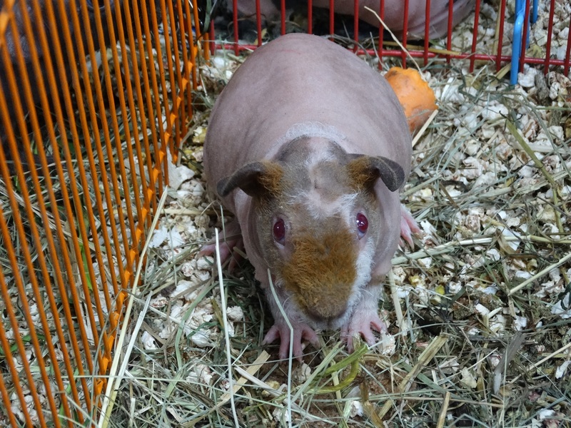 DSC02304