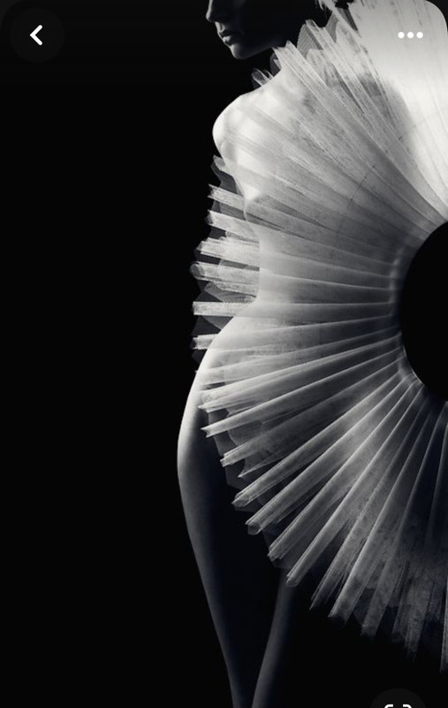 Screenshot_20240121_213804_Pinterest