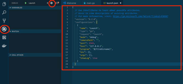 1 - Debugging In Go (2024)