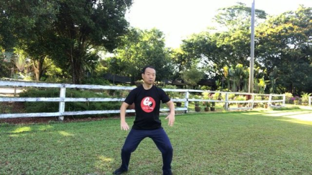 Tai Chi to Strengthen Bones, Halt Bone thinning Osteoporosis