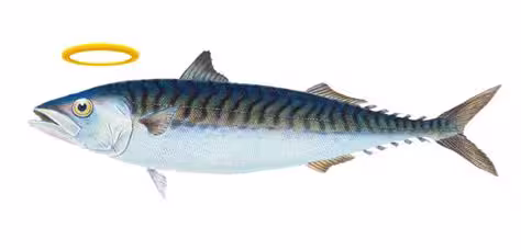 [Image: temp-Image7-Ys-Auv.avif]