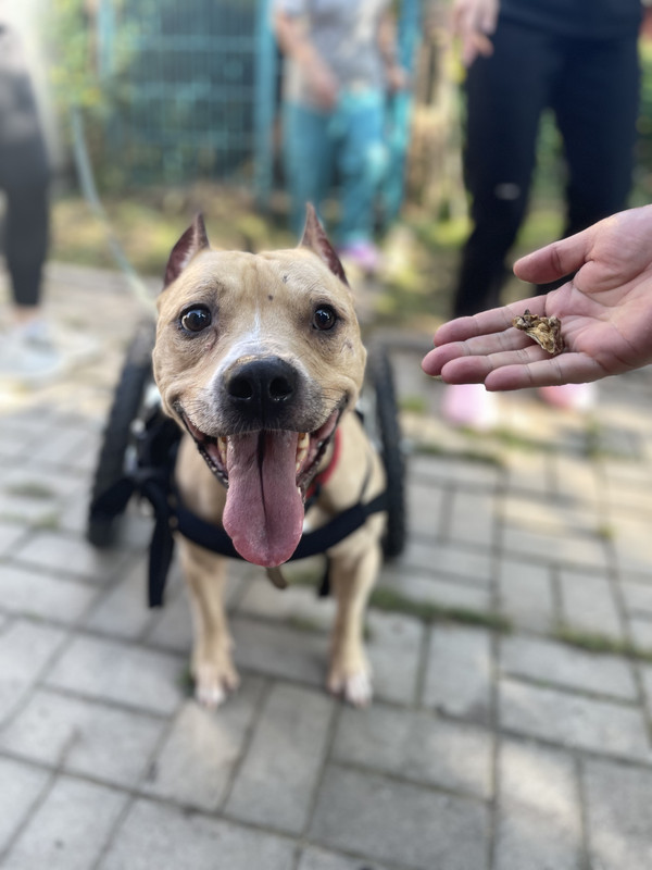 029E35FE-D78B-468C-B02A-FEDBFEF21523