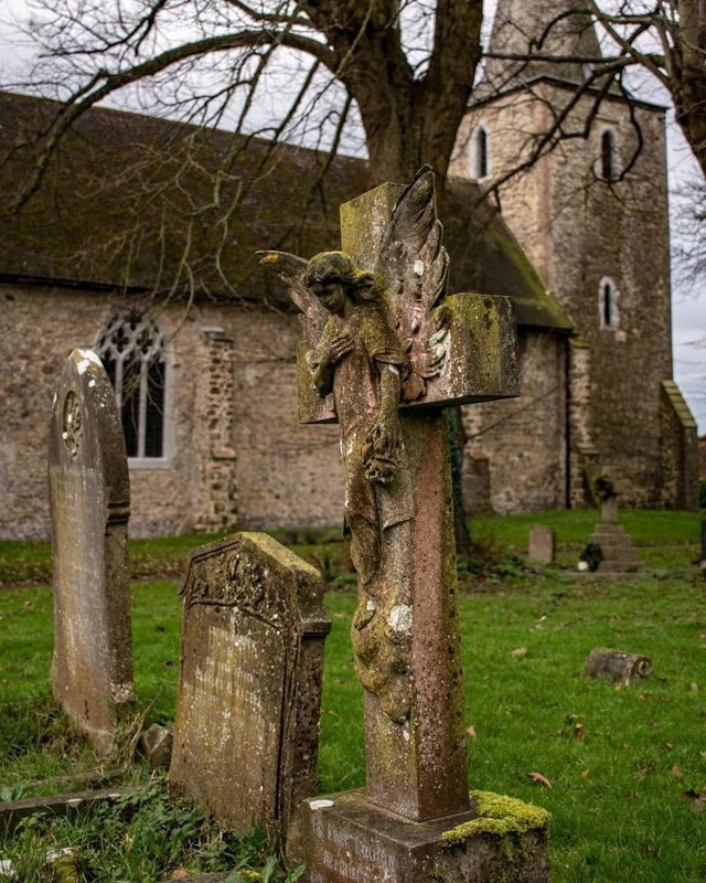 [Изображение: photo-2025-11-03-08-07-42.jpg]