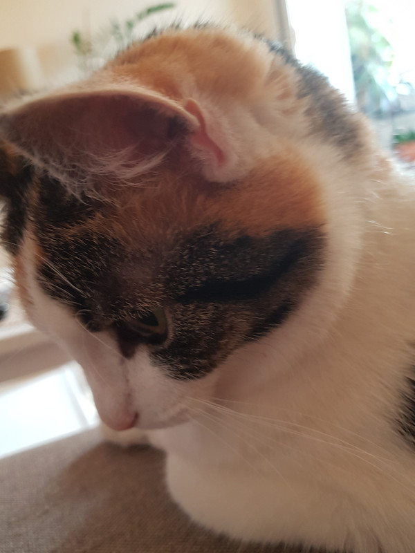 20190518-203716.jpg