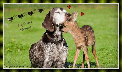 Brave-hond-2.gif