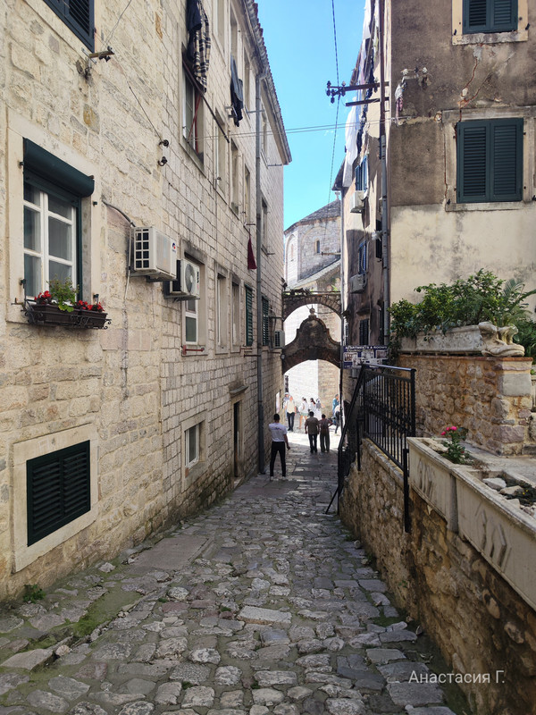 IMG_20250525_151405 (1)