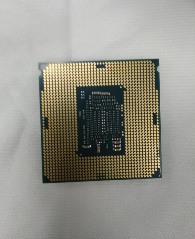 IMG_20230321_104445 (Medium)