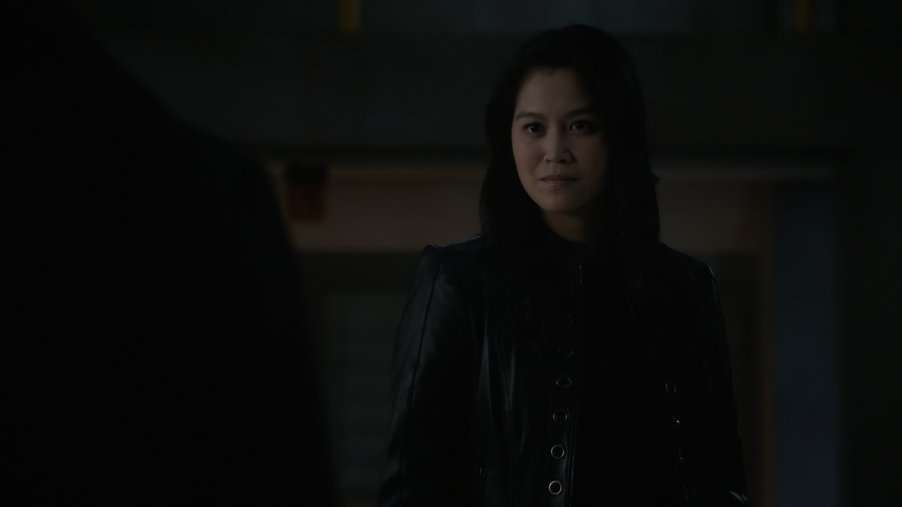Marvel's.Agents.of.S.H.I.E.L.D.S07E11.Brand.New.Day.1080p.10bit.AMZN.WEB-DL.AAC5.1.HEVC-Vyndros.mkv_