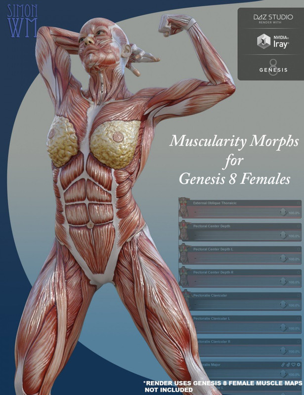 Muscularity Morphs for Genesis 8 Female(s)