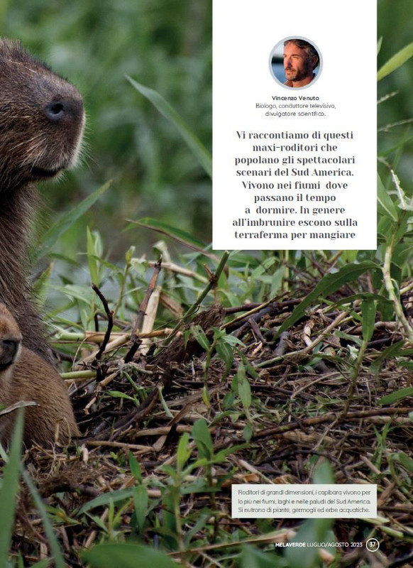 melaverde Lug-Ago 2023 (6)