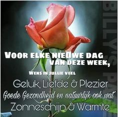 Fijne-week