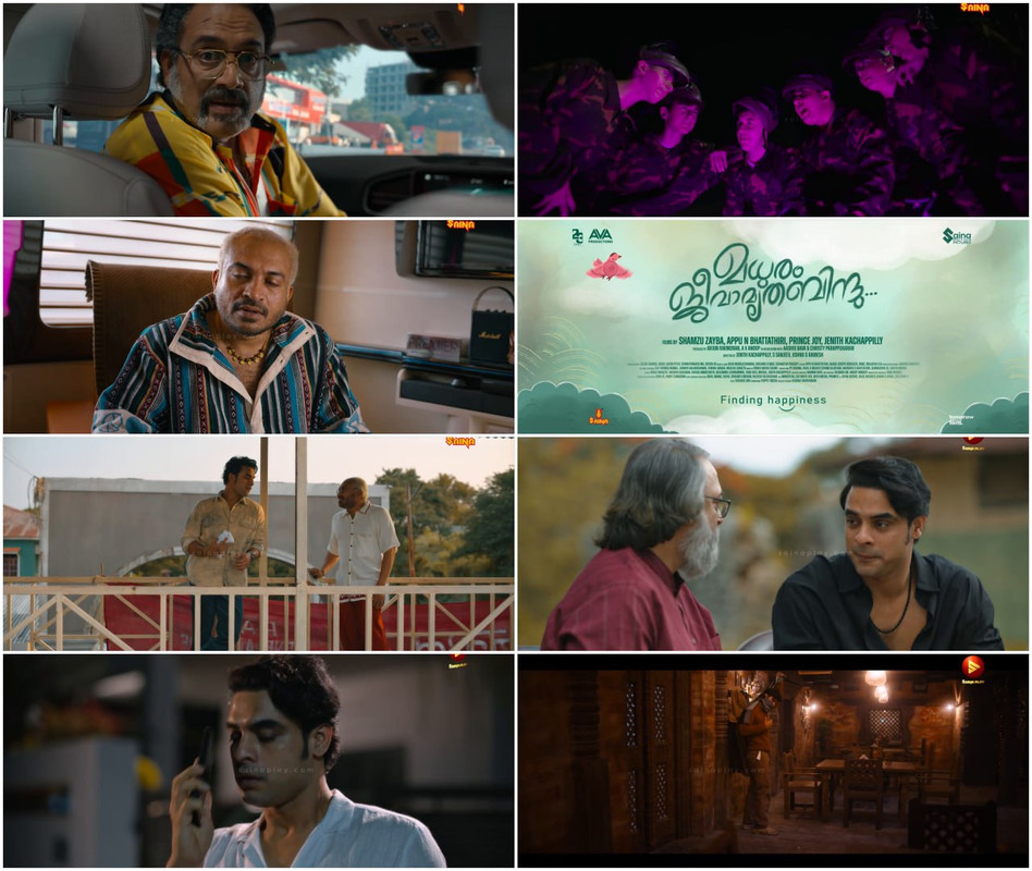 Nadikar (2024) Dual Audio [Hindi & Malayalam] Full Movie HD ESub screenshot