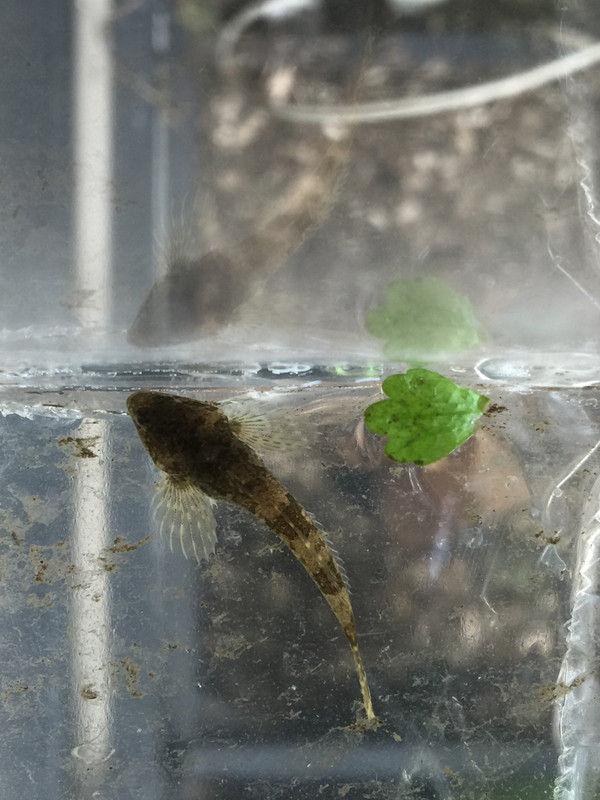 E88B1E76-FE14-468F-BC20-C6A7D7FE0BD4