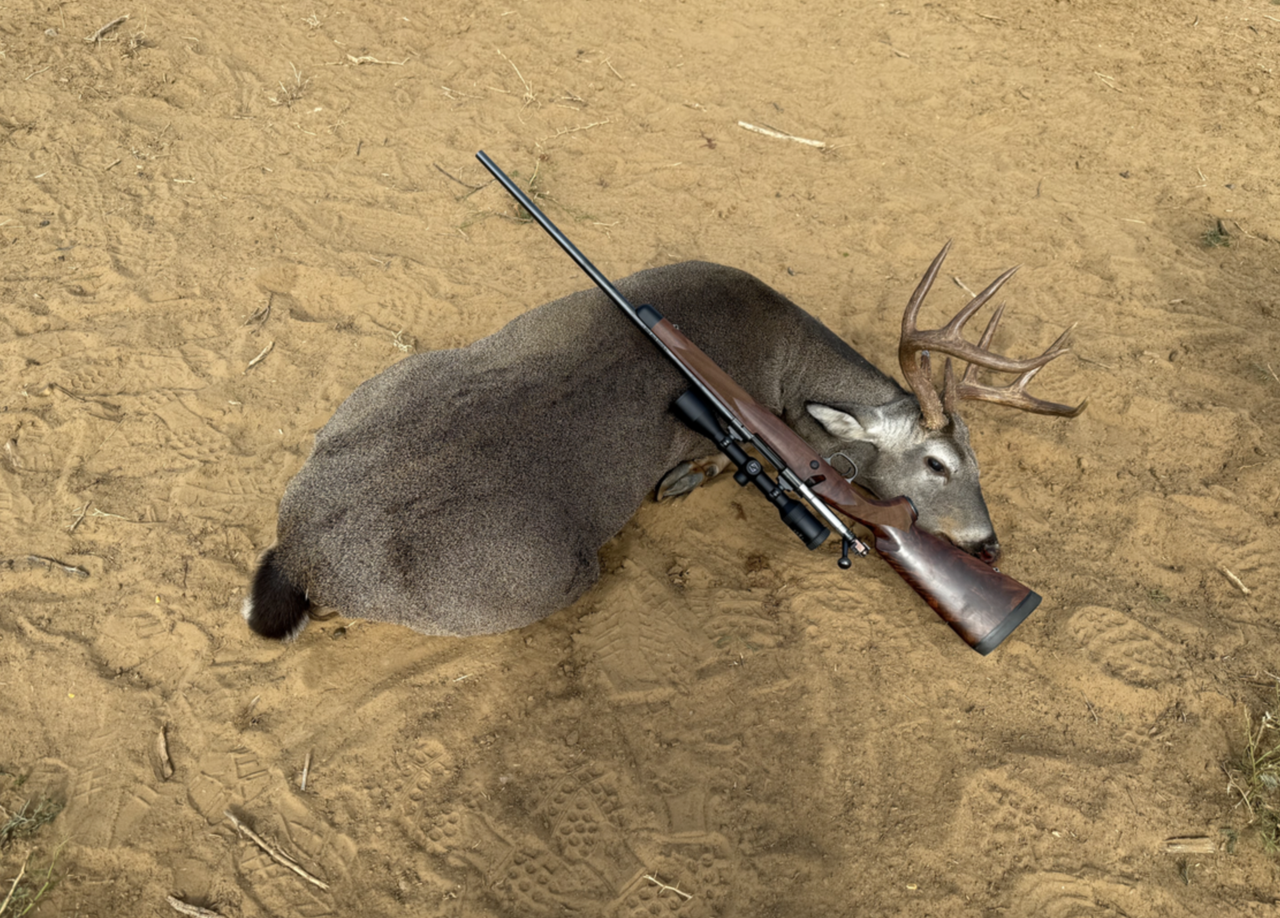 Screen Shot 2026 02 24 at 4 18 23 PM