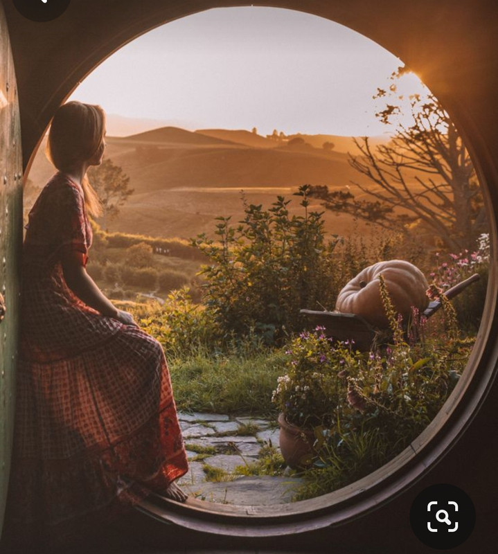 Screenshot_20231113_001250_Pinterest