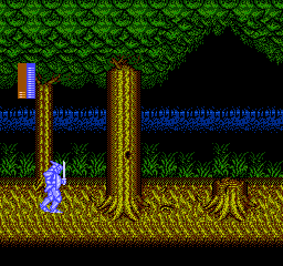 [NES] En vrac - Page 7 Castle-Dragon-Forest
