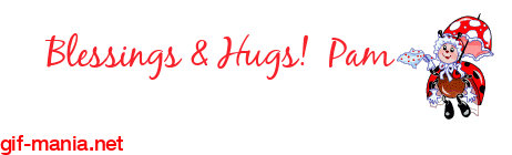 B_&_H_Ladybug