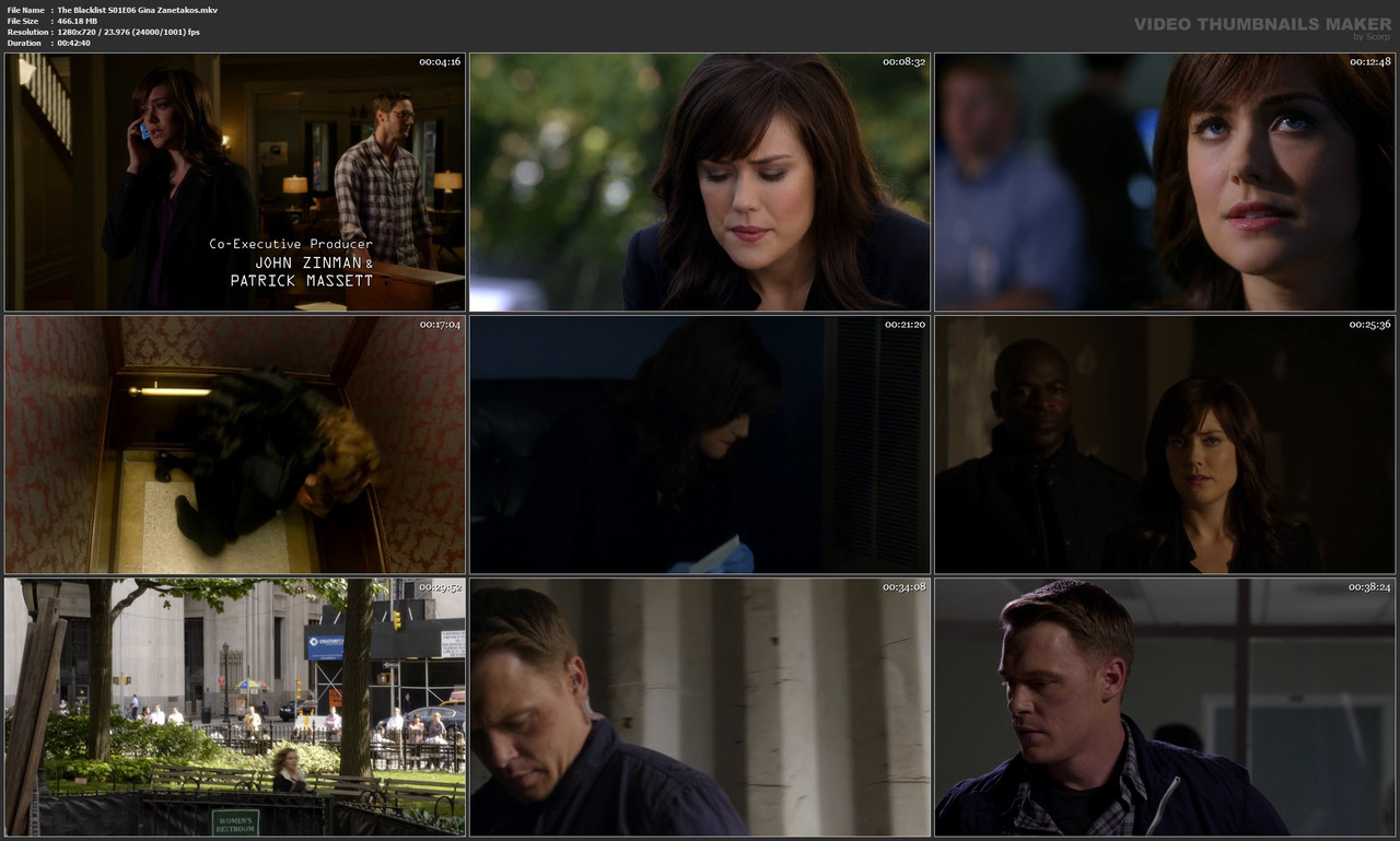 The Blacklist S01E06 Gina Zanetakos.mkv