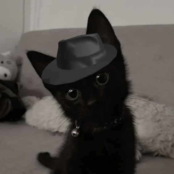 Zyy
