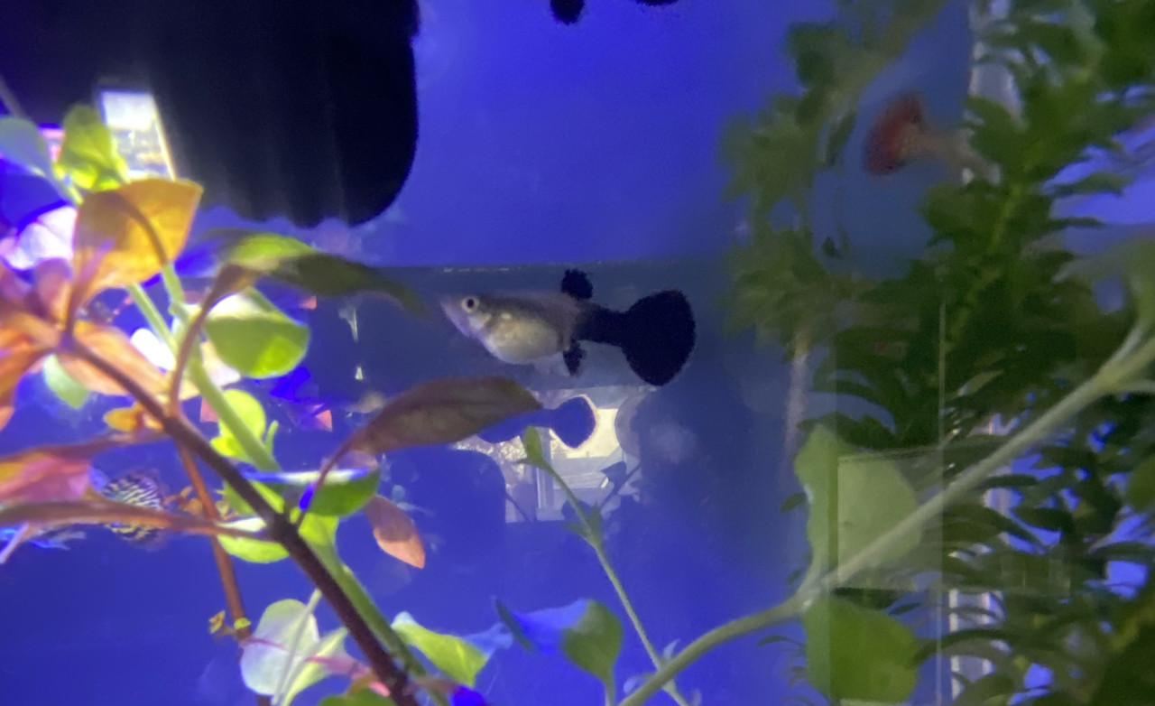 E8CE6E3F-9601-4073-8ECD-1AC409365608