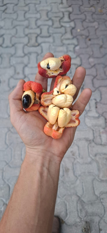 Whats App Image 2025 12 30 at 6 48 41 PM (1)