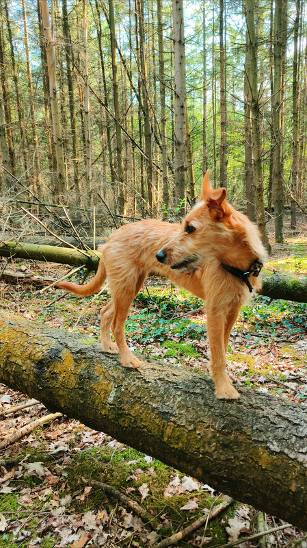 Lumii_20250810_170544046