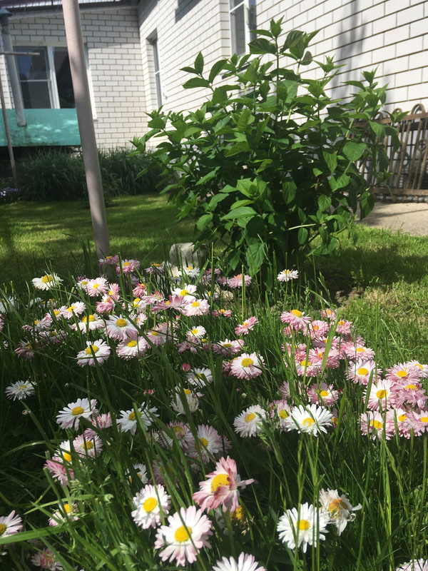 16D33B39-1CFC-416F-912D-ED41BE602B3D