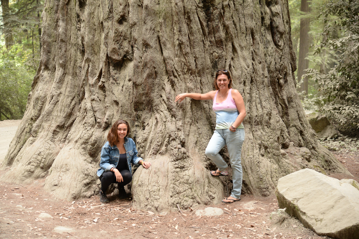 Árboles gigantes, fuegos y volcanes extintos - Oregon y California norte (2018) - Blogs de USA - Rogue River y costa norte de California (6)