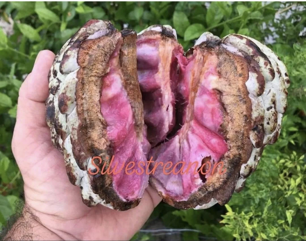 460C53B5-C3CA-4B1A-BE26-4FD89F35F13F