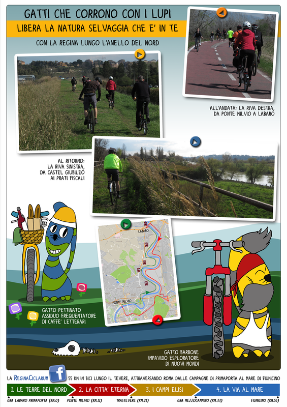 031 anello nord grazie trc