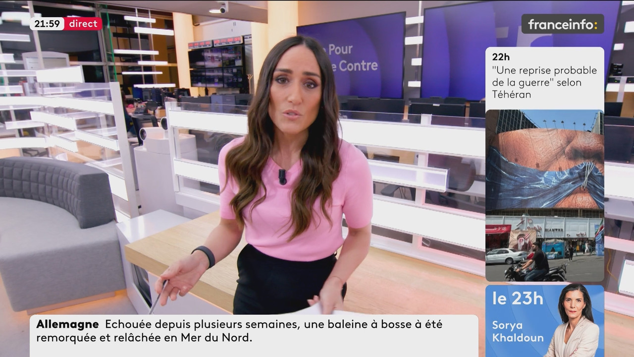 Le Pour et le Contre (Franceinfo) 2026 05 02 20 54 55 ts snapshot 00 06 26 840