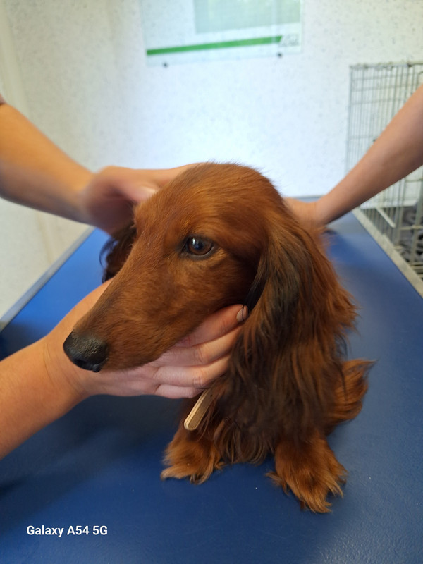 [Image: 20240724-173948.jpg]