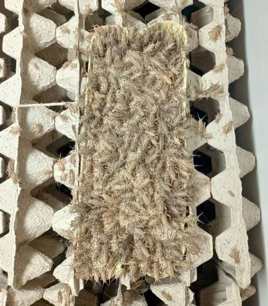 IMG_20220505_130448_467