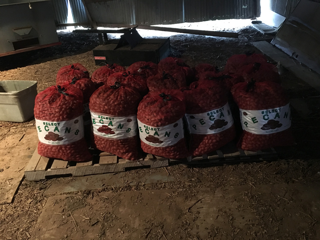 84BF63E8-0B6D-4106-AA10-D45C4087E6E5