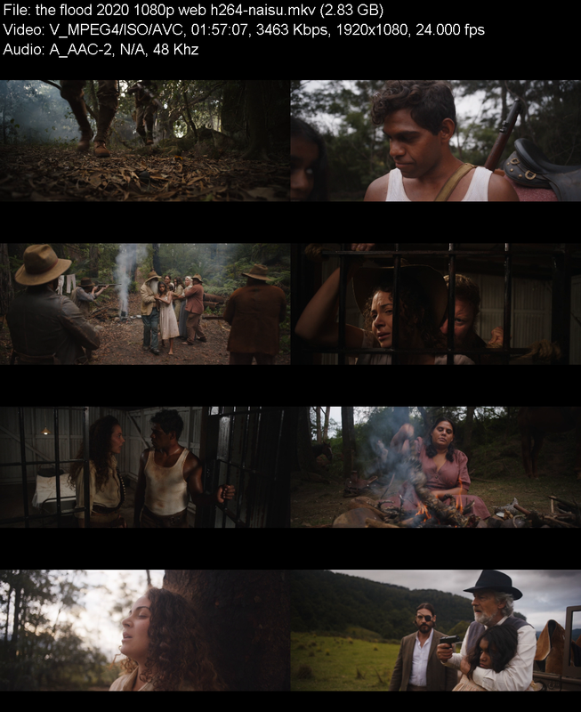 the-flood-2020-1080p-web-h264-naisu.png