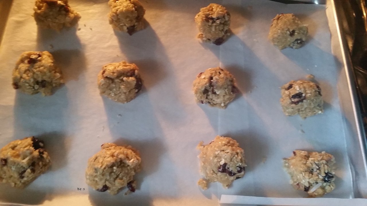 [Image: cookie-4.jpg]