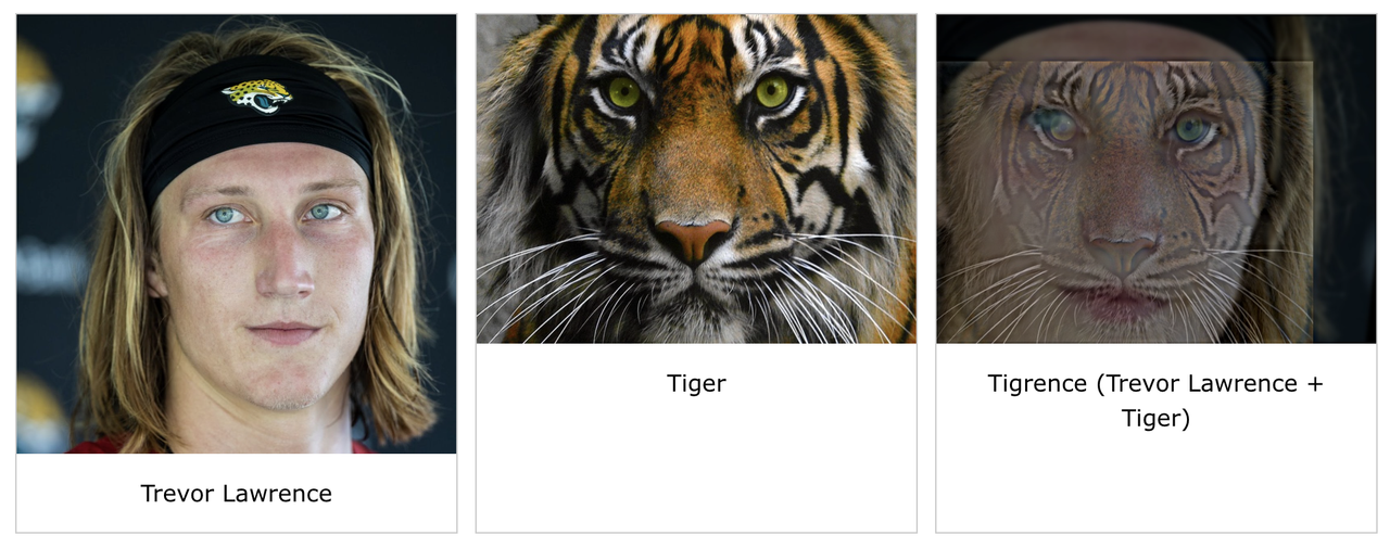 Hybrid Image