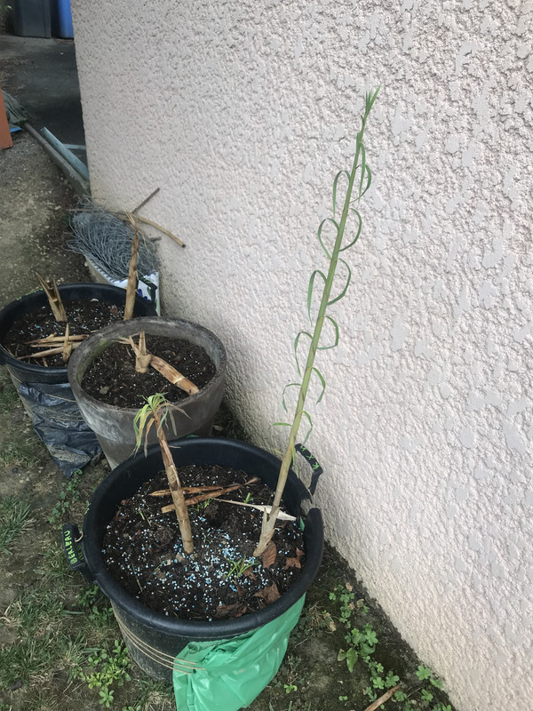 2D3394B8-0AC3-465A-A43C-ABA5C5B7F46B