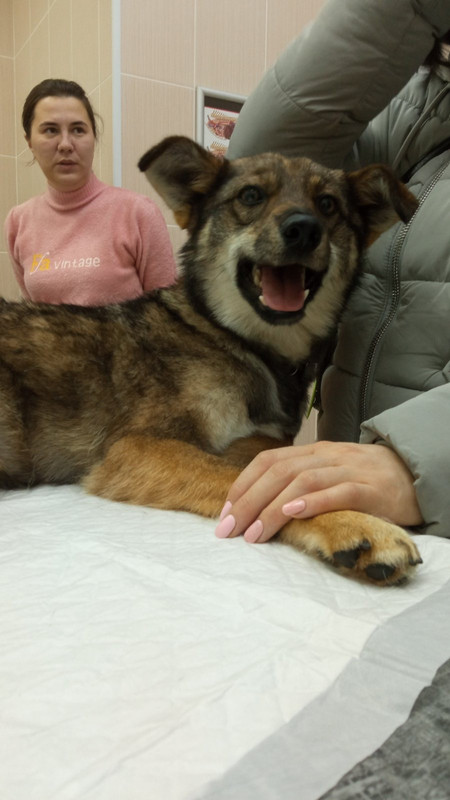 B4ADCC4E-7B11-4C85-9821-F85929B82956