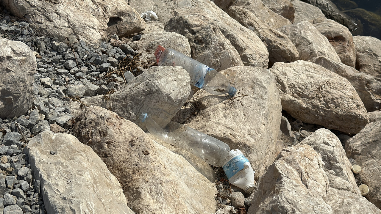 image00009