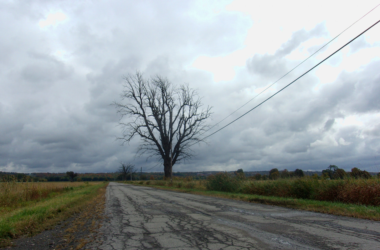 Flats Rd — Postimages