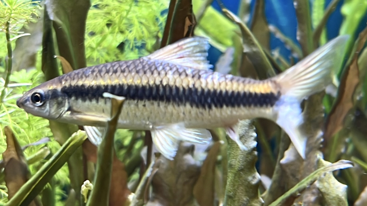 70BDAF29-94B1-48DE-98C9-A45B1B850E30