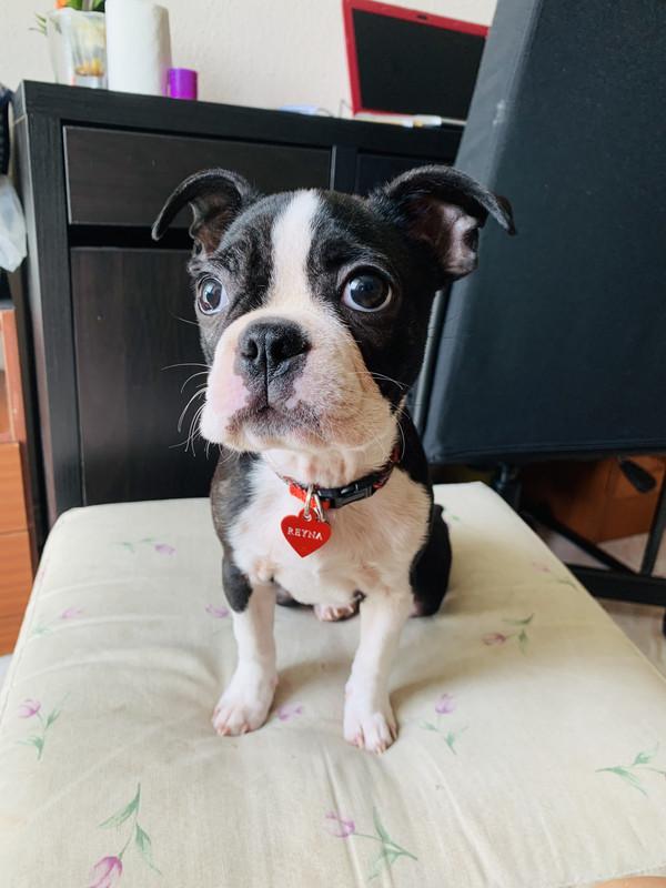 0D0DE933-589A-4C18-8DD0-3C28EAC07068