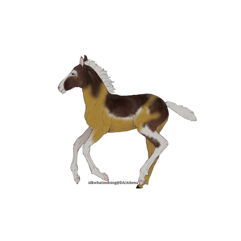 Untitled88-20250601163230.png