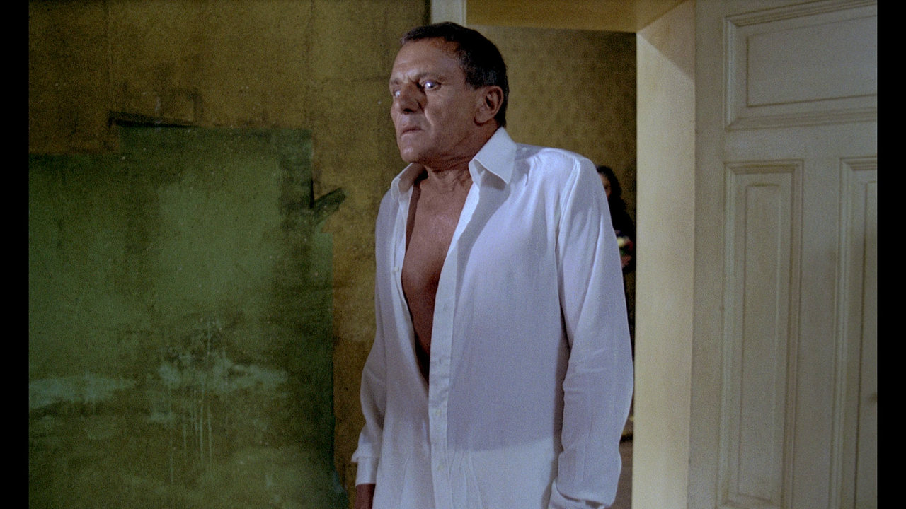 vlcsnap-2024-02-23-13h36m16s784