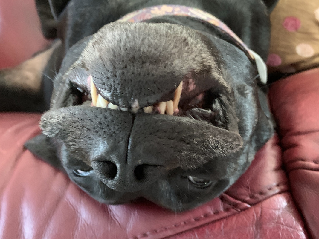 026FB008-8F89-4570-B699-9DB08B78EFE7