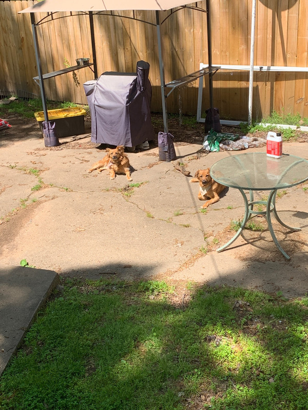 60910231801__F2CD83D8-AA56-4423-913A-28676AC56C86