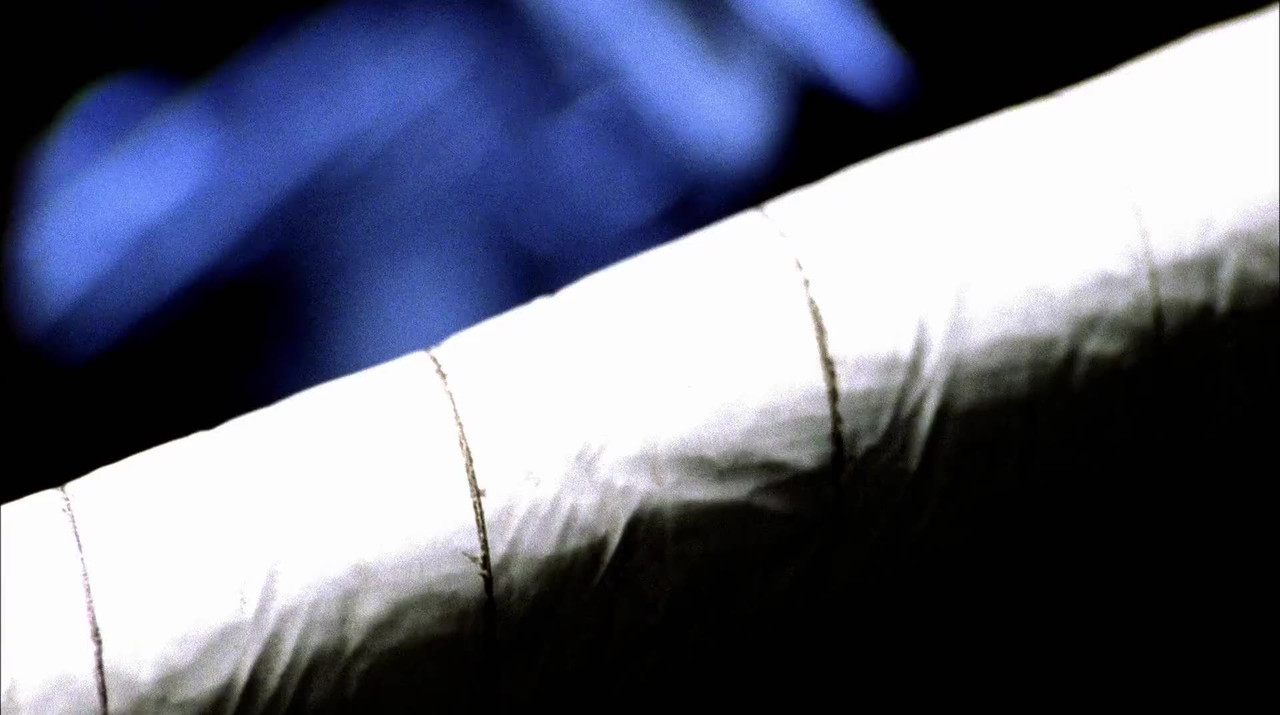 Max-Havoc-Curse-Of-The-Dragon-2004-1080p