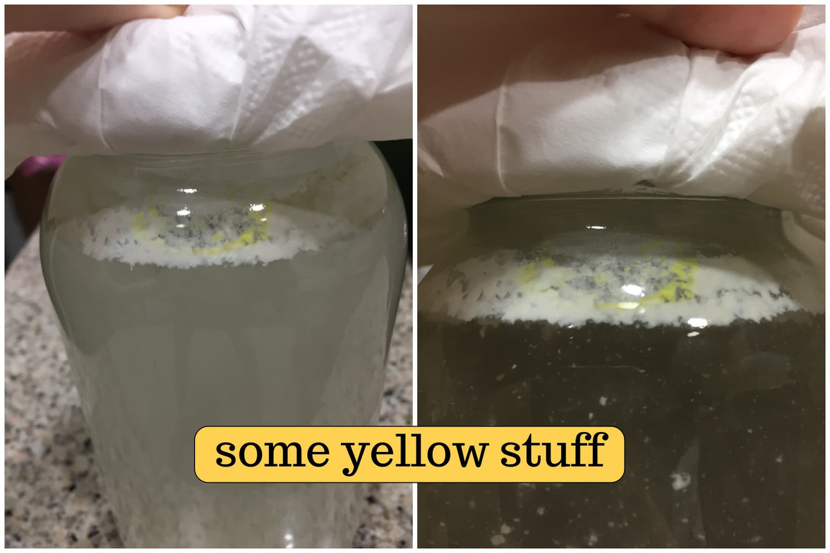 yellow-stuff-in-rice-wash.jpg